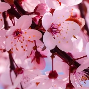 Meet your Posher, Sally